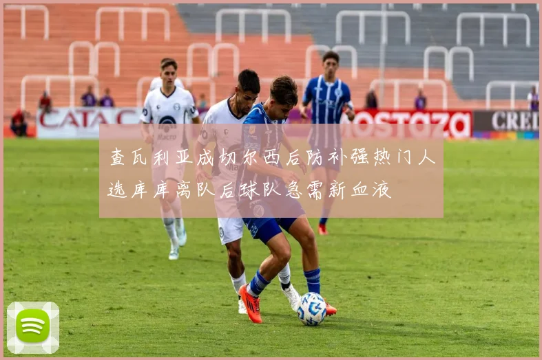 查瓦利亚成切尔西后防补强热门人选库库离队后球队急需新血液